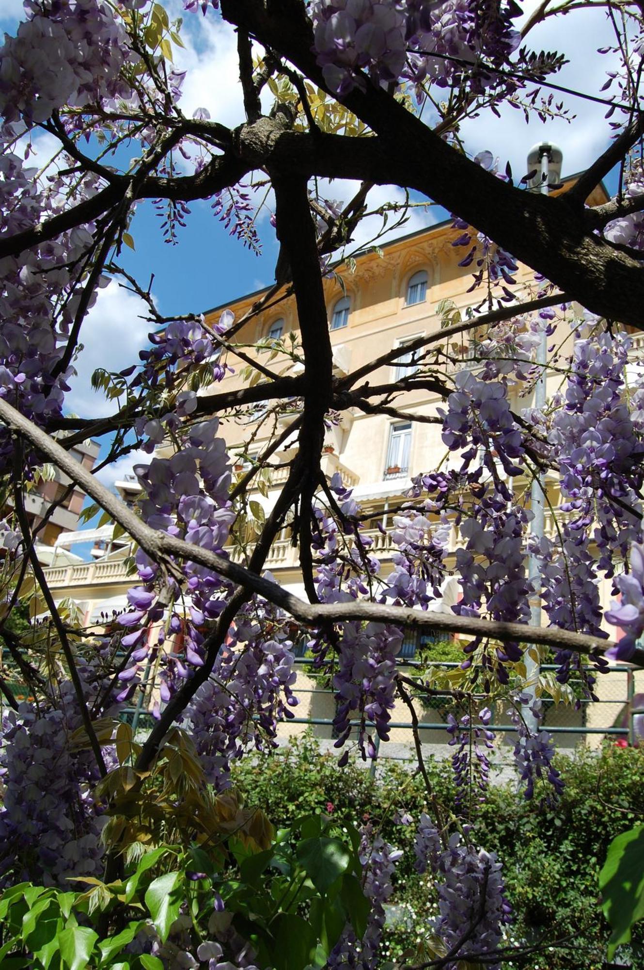 Hotel Canali, Portofino Coast Rapallo Exteriér fotografie